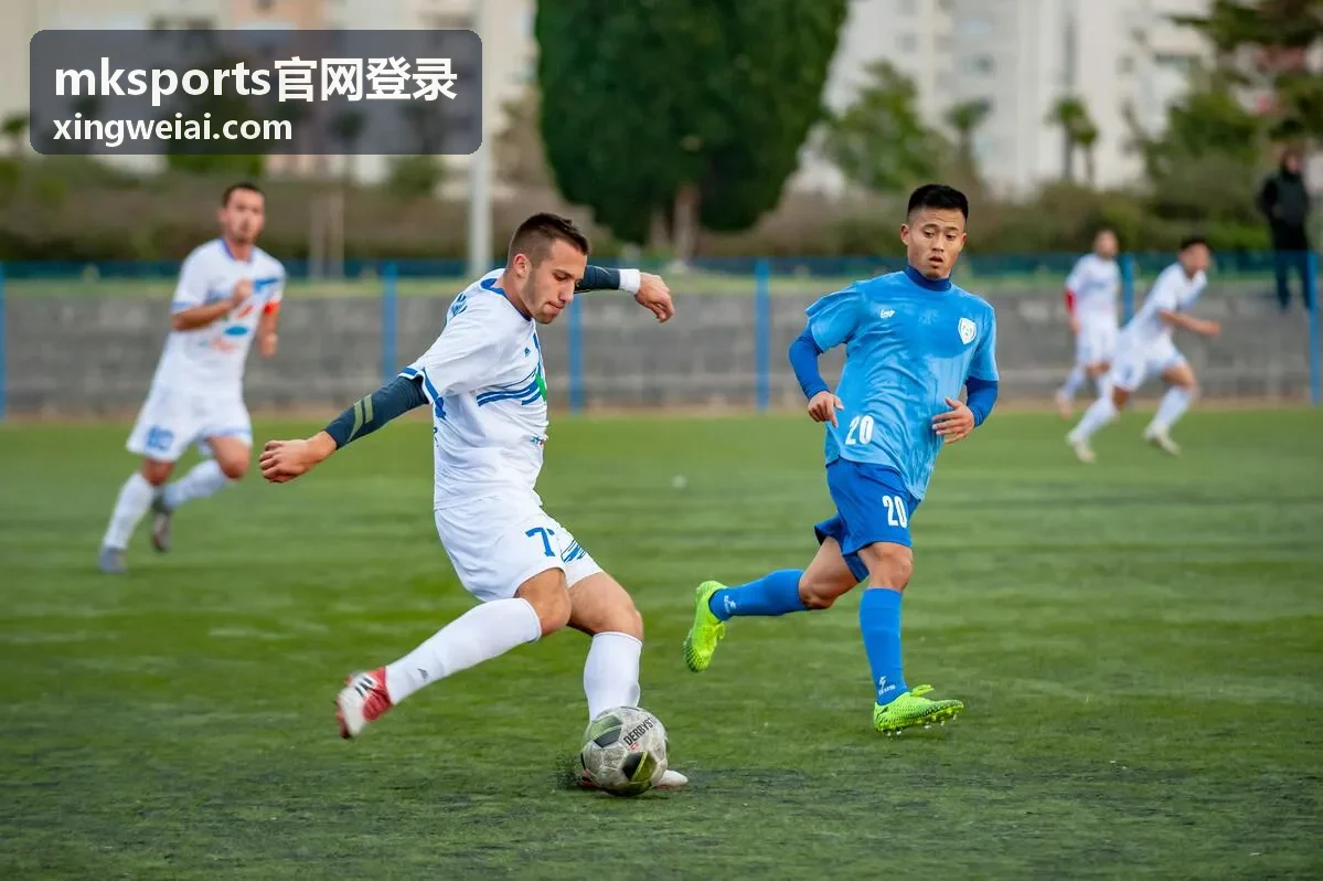 mksports官网登录 入口校验的设备核对示意
