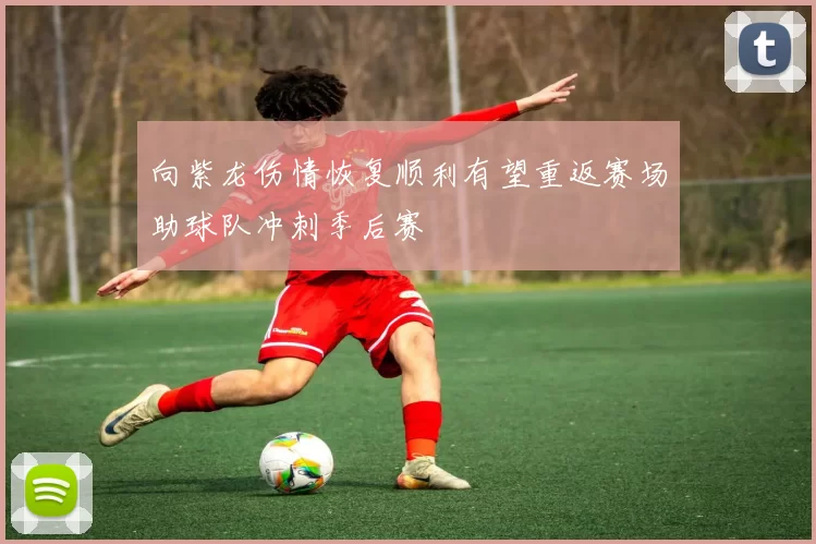 向紫龙伤情恢复顺利有望重返赛场助球队冲刺季后赛