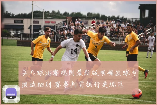 乒乓球比赛规则最新版明确发球与换边细则 赛事判罚执行更规范