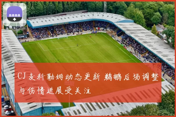 CJ麦科勒姆动态更新 鹈鹕后场调整与伤情进展受关注