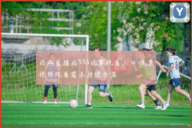雨燕直播成NBA比赛观看入口 免费视频观看需求持续升温